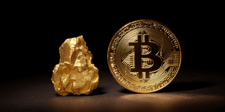 pocketoption Review: Is pocketoption True or False Investment?