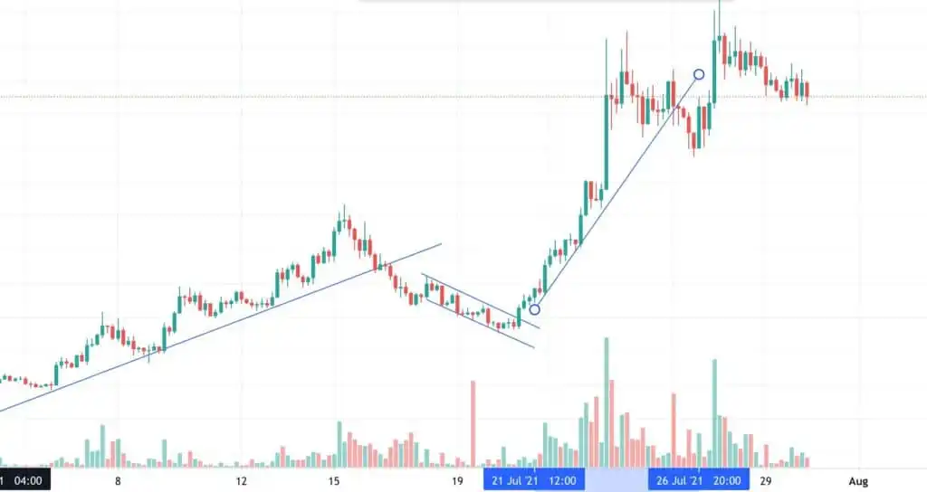 WildBearUnion Review – Proceed with Extreme Caution! 🚨