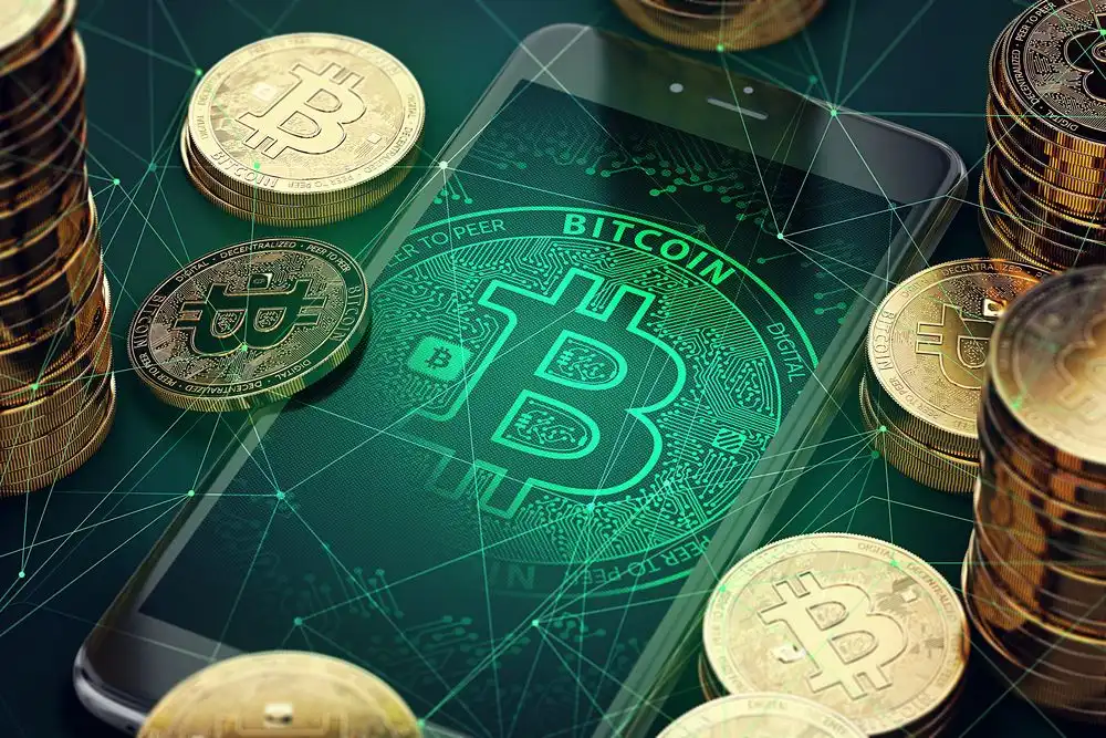 Btnorden (btnorden.com): Recover Funds From This Scam